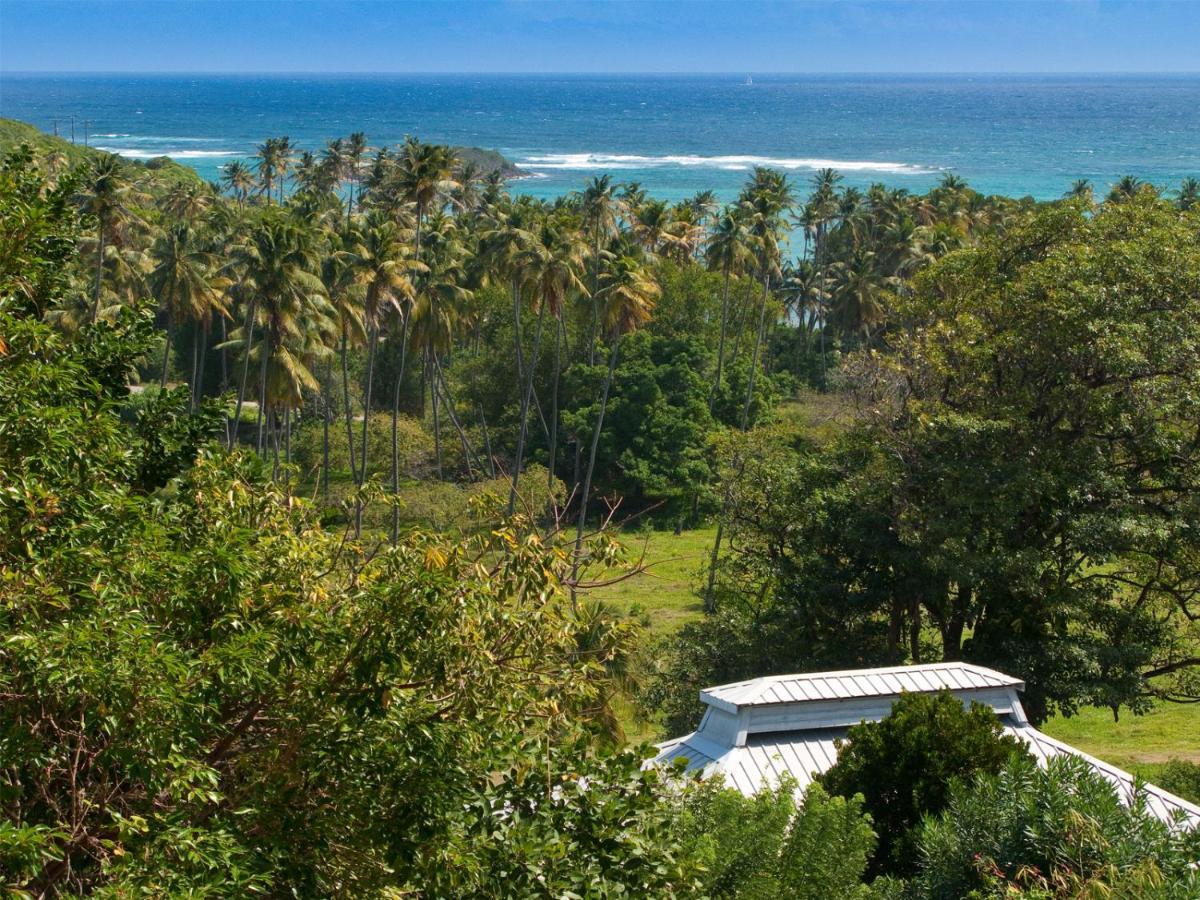 Firefly Estate Bequia Hotel Crescent Beach Екстериор снимка