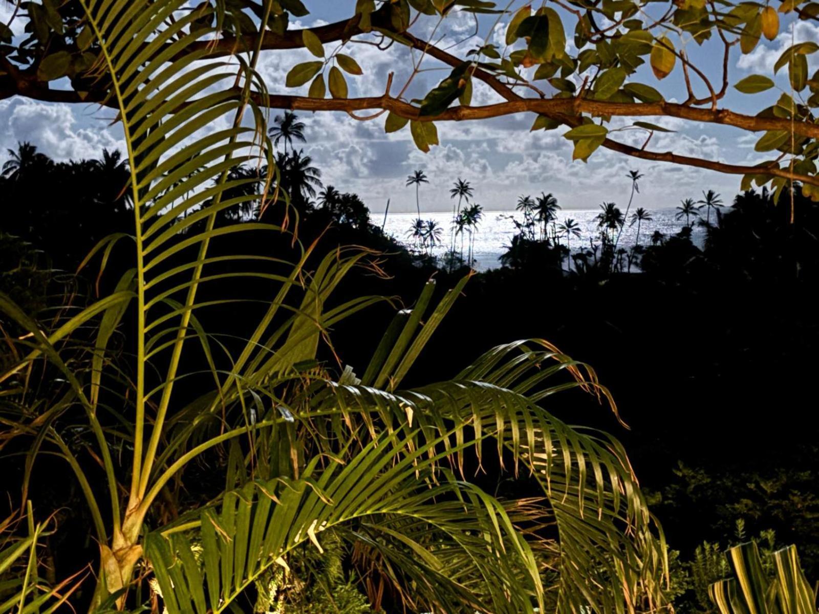 Firefly Estate Bequia Hotel Crescent Beach Екстериор снимка