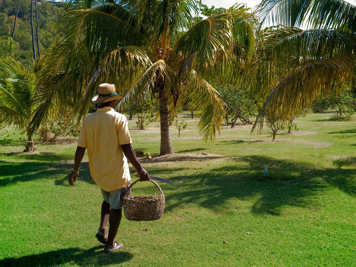 Firefly Estate Bequia Hotel Crescent Beach Екстериор снимка