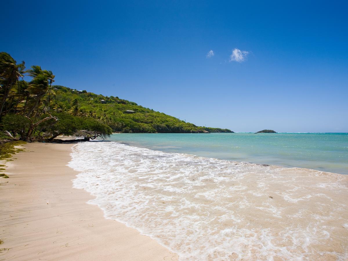 Firefly Estate Bequia Hotel Crescent Beach Екстериор снимка