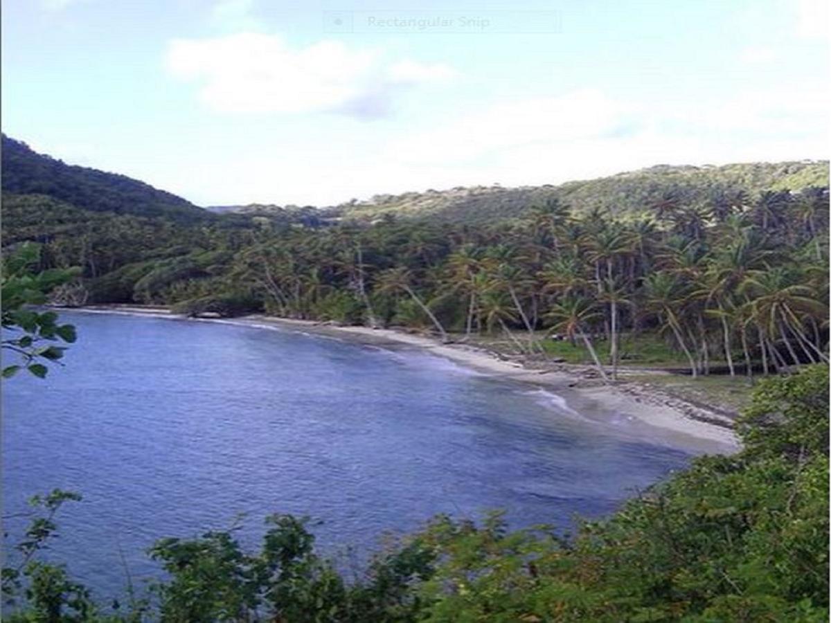 Firefly Estate Bequia Hotel Crescent Beach Екстериор снимка