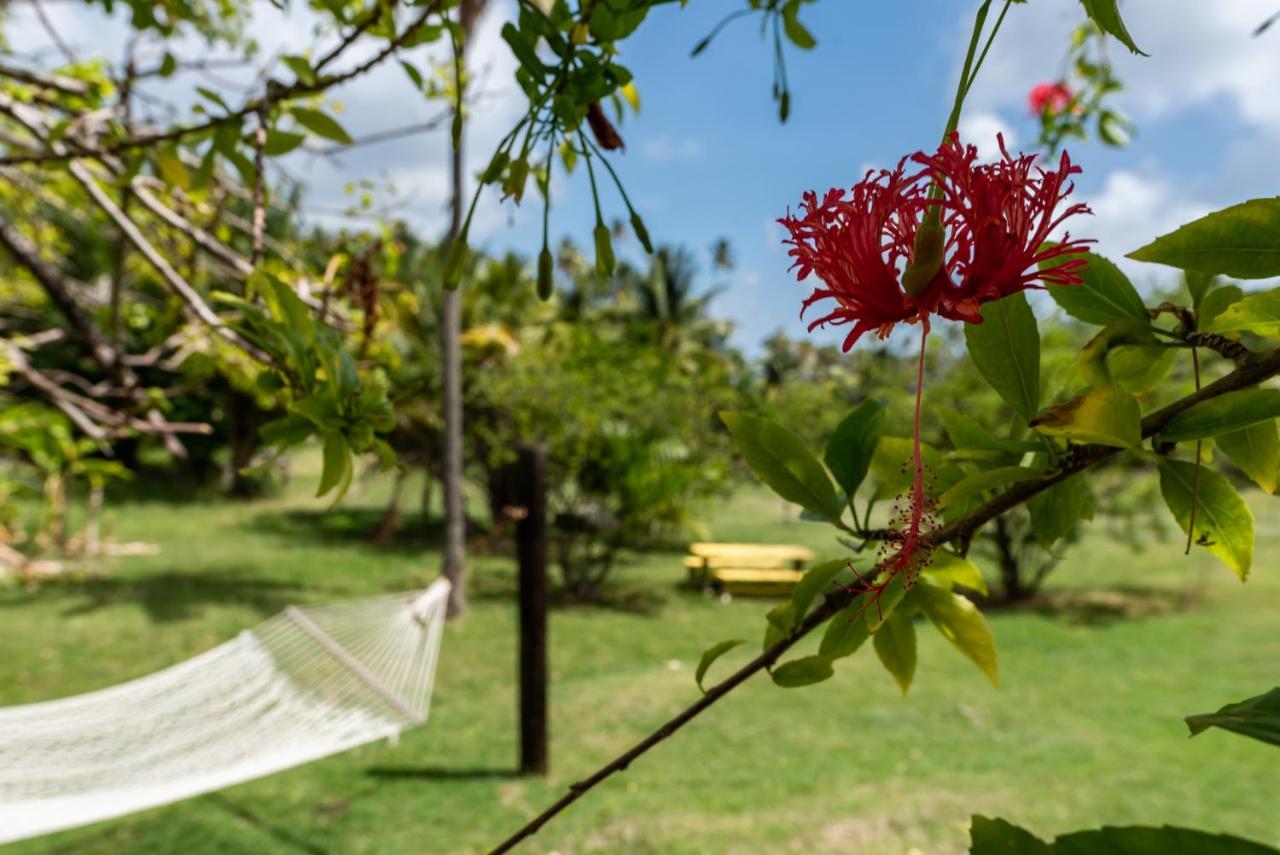 Firefly Estate Bequia Hotel Crescent Beach Екстериор снимка